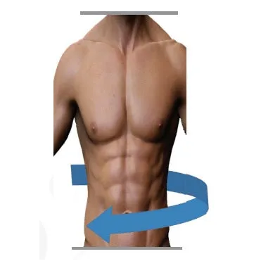 Abdominal Binder for Colostomy Bag 26cm High - Beige