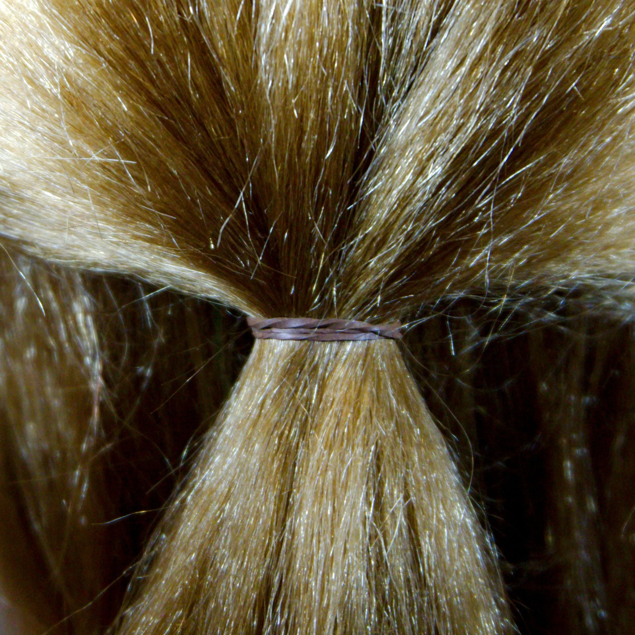 Amelia Beauty | 1/2in, Brown, Elastic Rubber Band Pony Tail Holders | Made in USA, Ideal for Ponytails, Braids, Twists, Dreadlocks, Styling Accessories for Women, Men and Girls | 1000 Pack