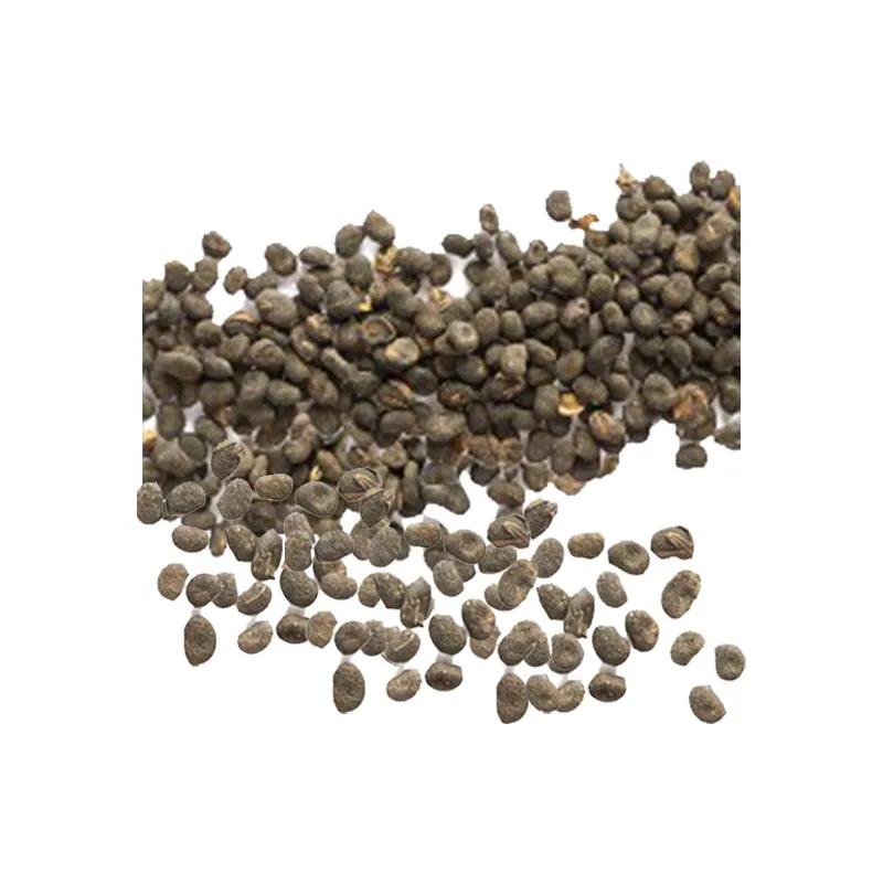 Babchi - Bakuchi - Seed Carrier Ayurveda Oil Organic