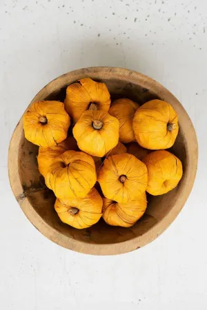 Bag of 15 Dried Miniature Faux Pumpkins - Orange (Pack of 12 bags)
