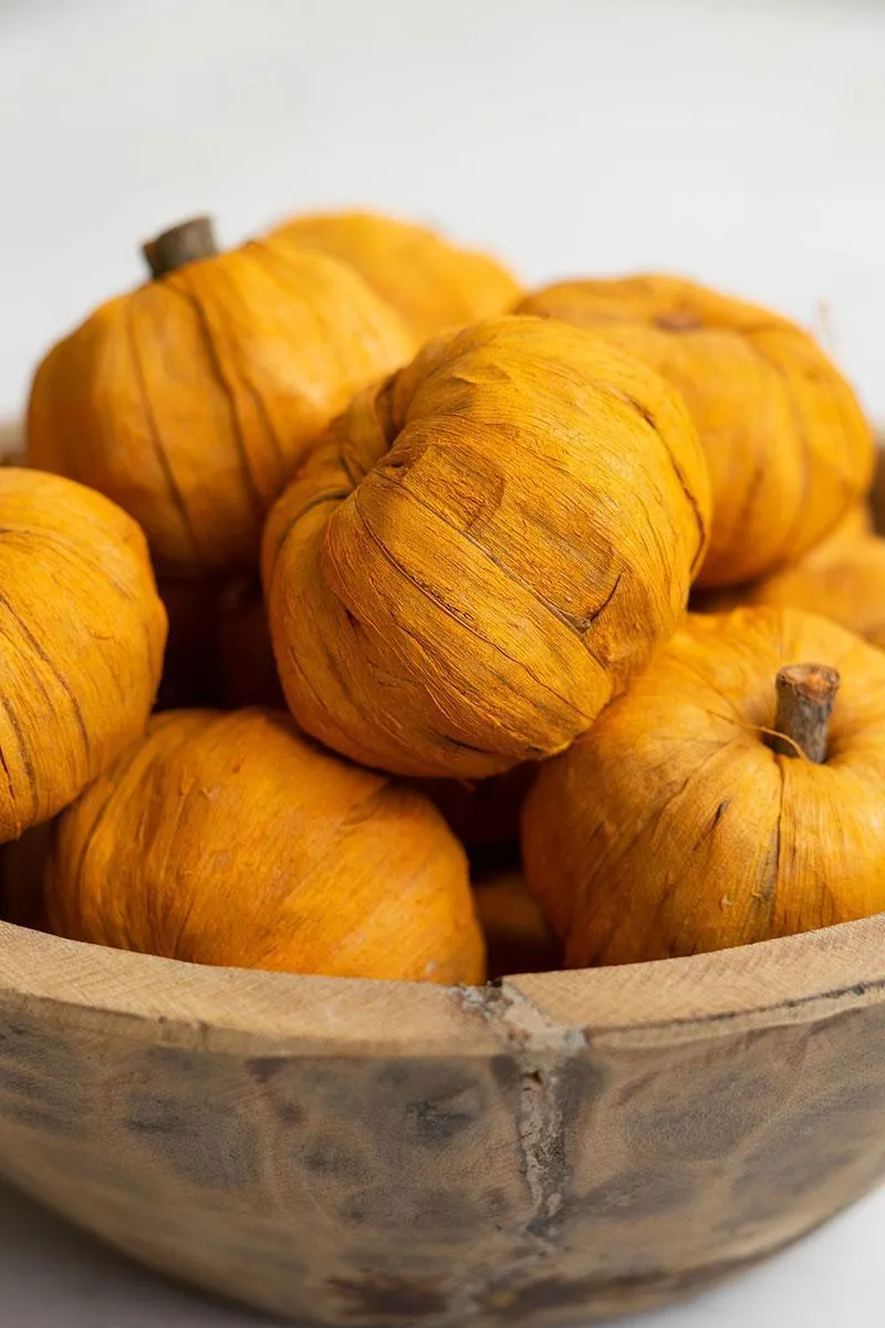 Bag of 15 Dried Miniature Faux Pumpkins - Orange (Pack of 12 bags)