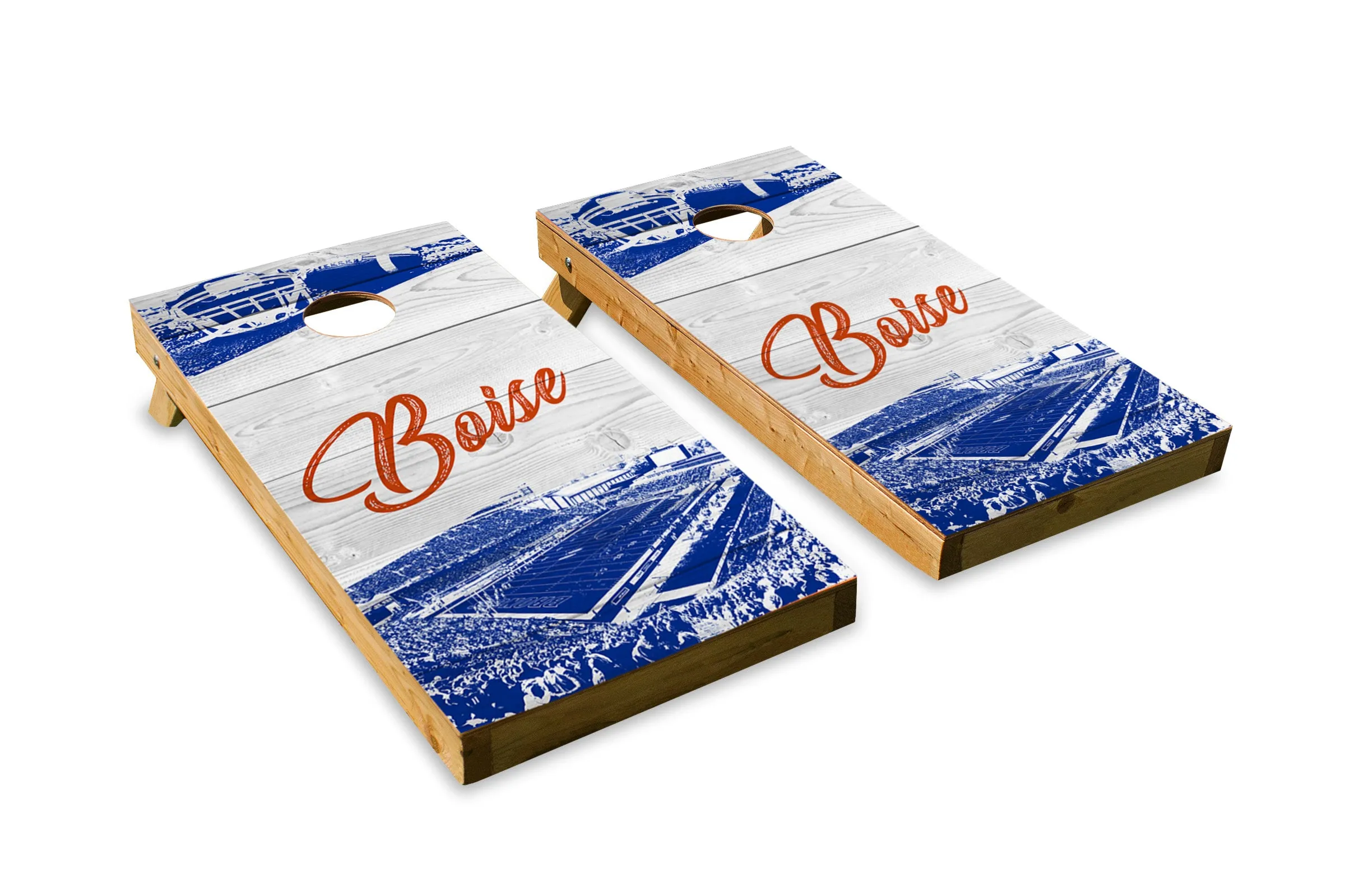 Boise State Broncos Stadium Skyline