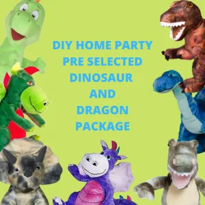 DIY Home Party Packages & T-Shirts Pre-Selected