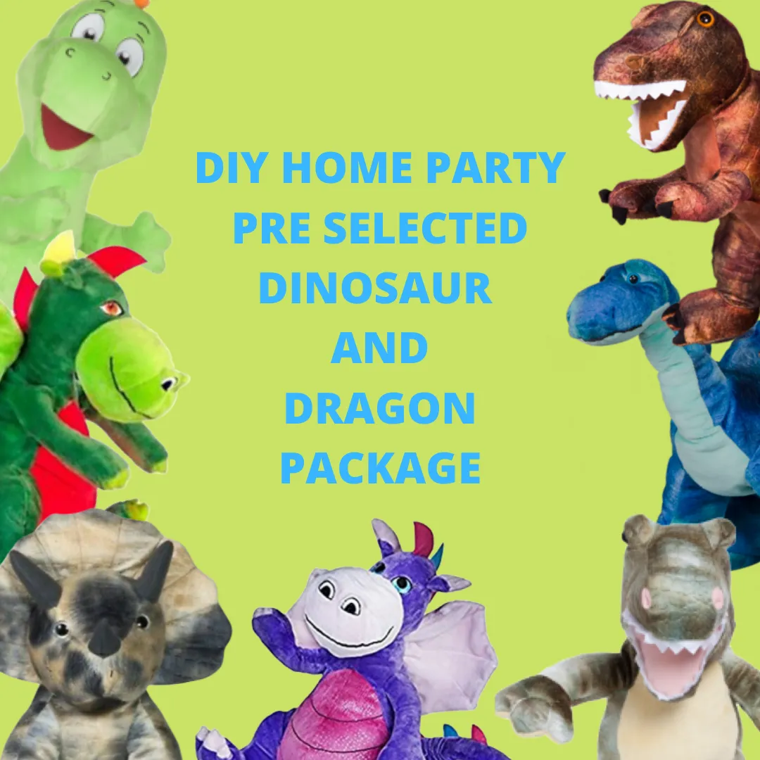 DIY Home Party Packages & T-Shirts Pre-Selected