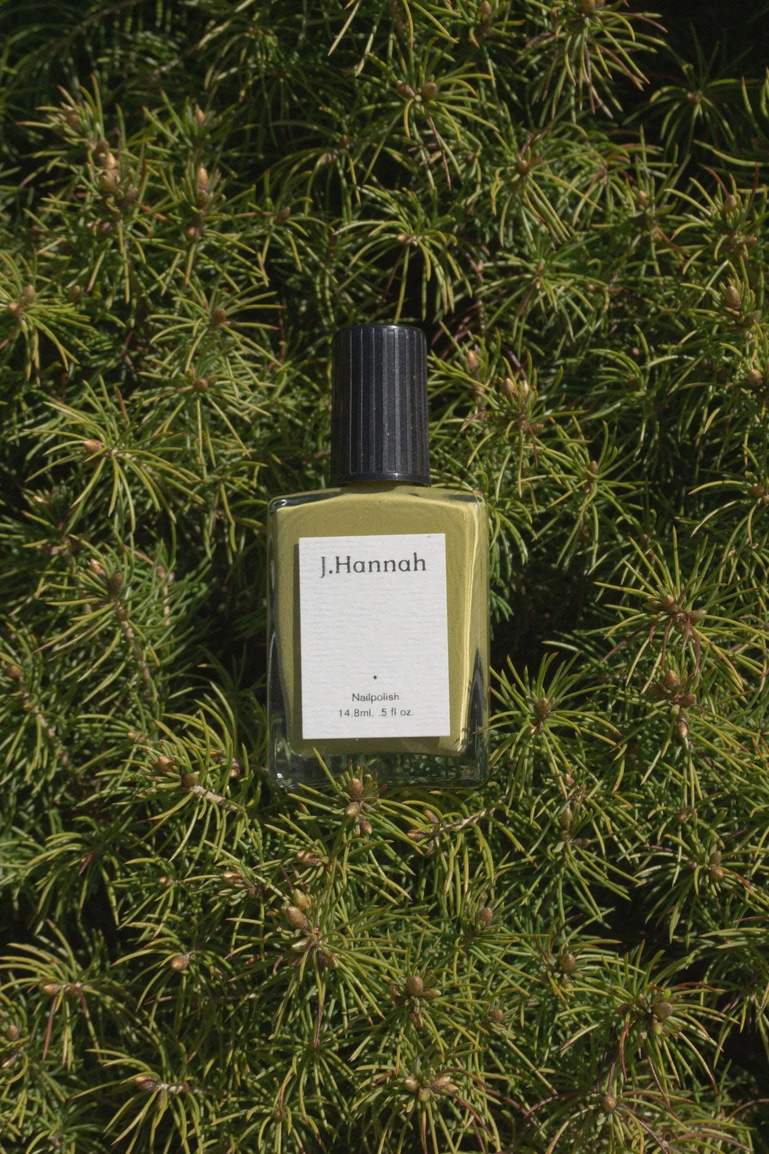 Eames Nail Polish
