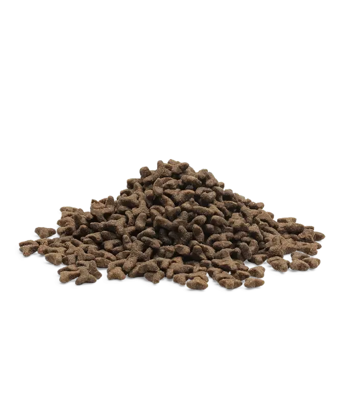 ESSENTIAL 'THE LITTLE LION' 3KG KITTEN FOOD