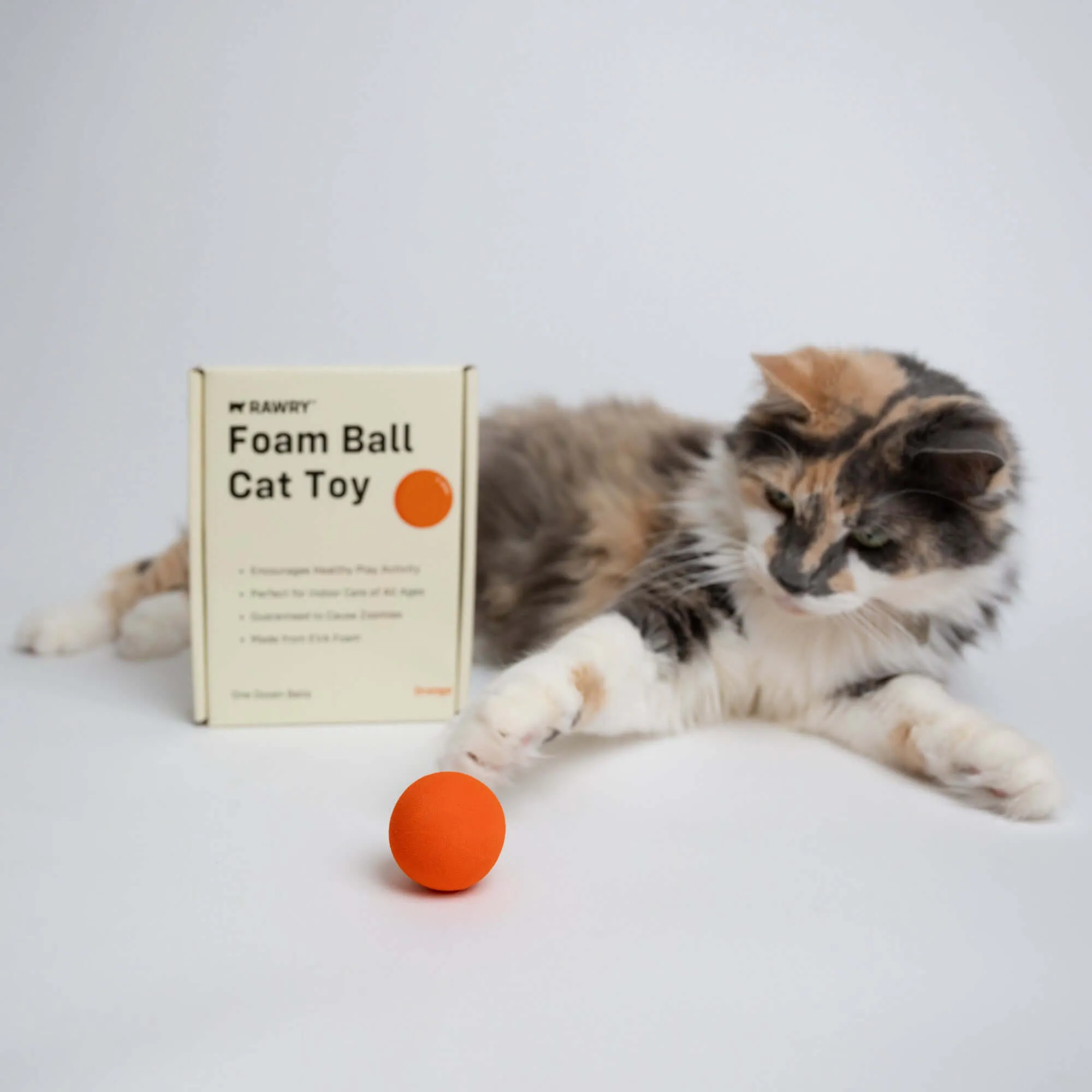 Essentials Bundle: Balls and Litter