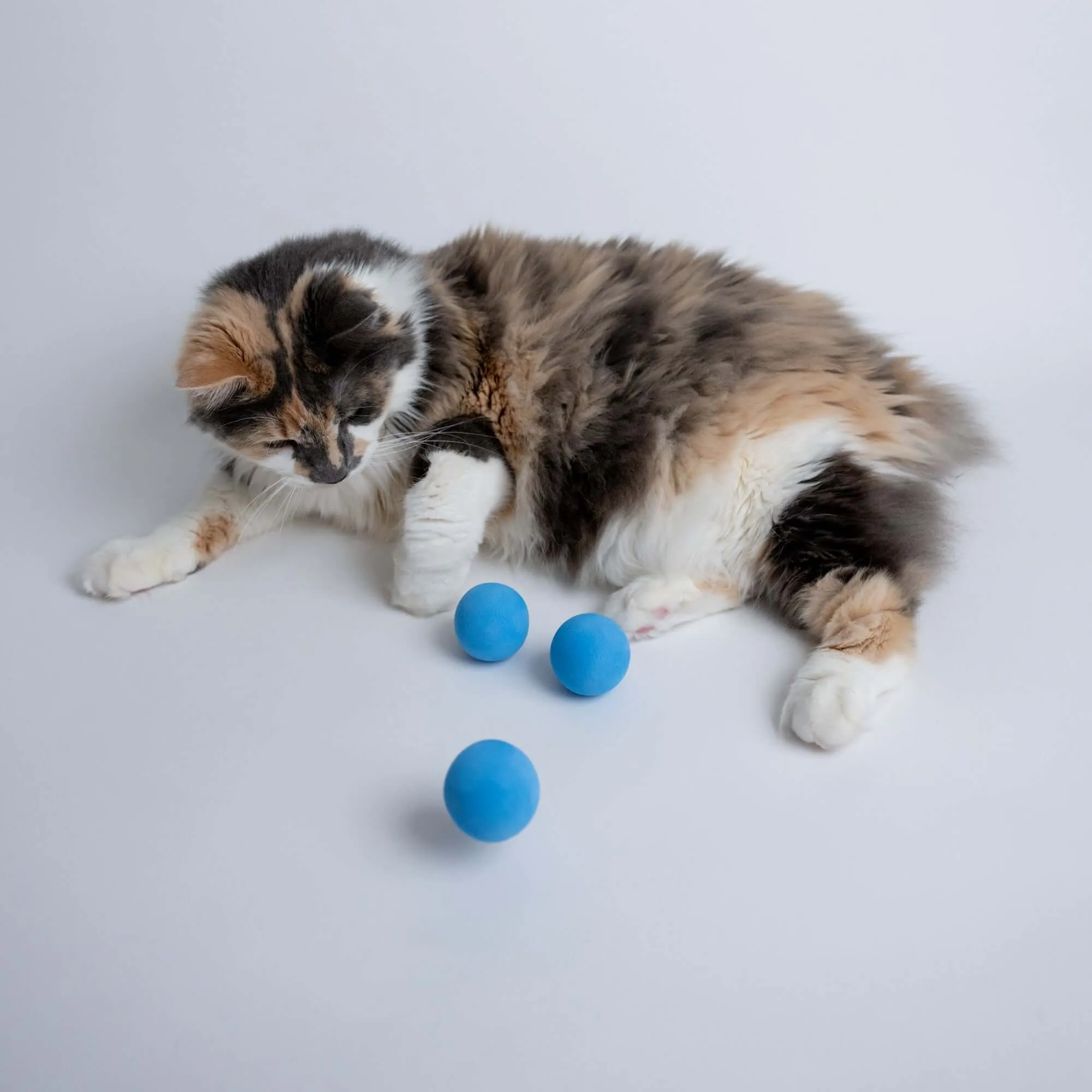 Essentials Bundle: Balls and Litter