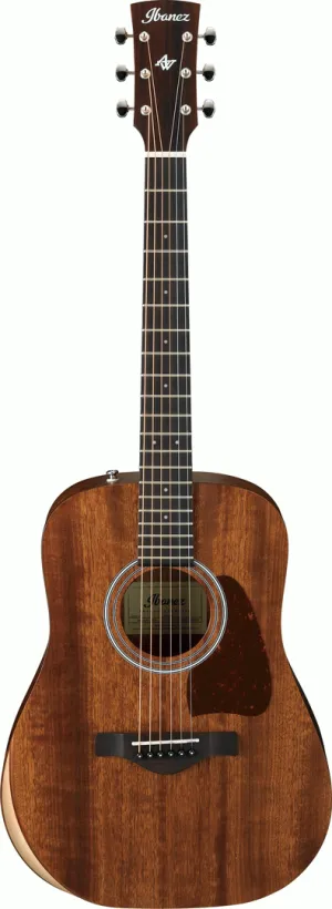 Ibanez AW54JR OPN Acoustic Guitar