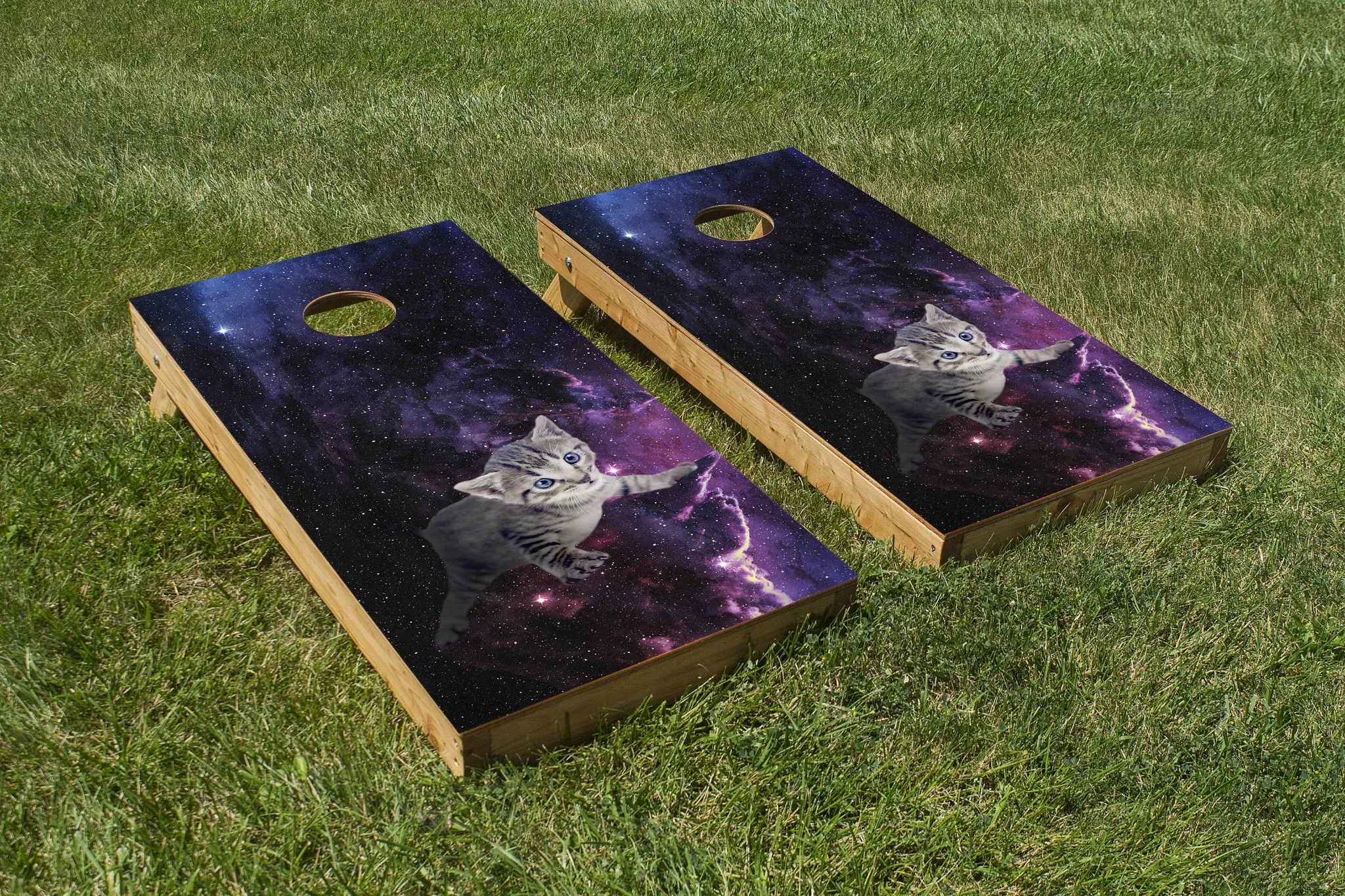 Kitten in Space