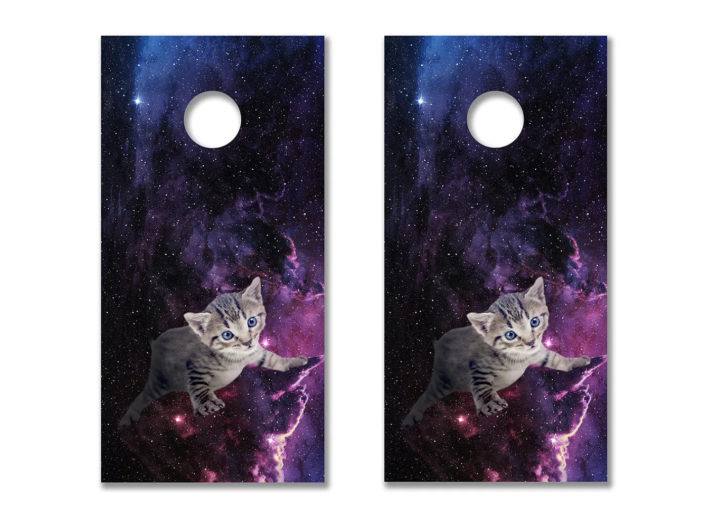 Kitten in Space