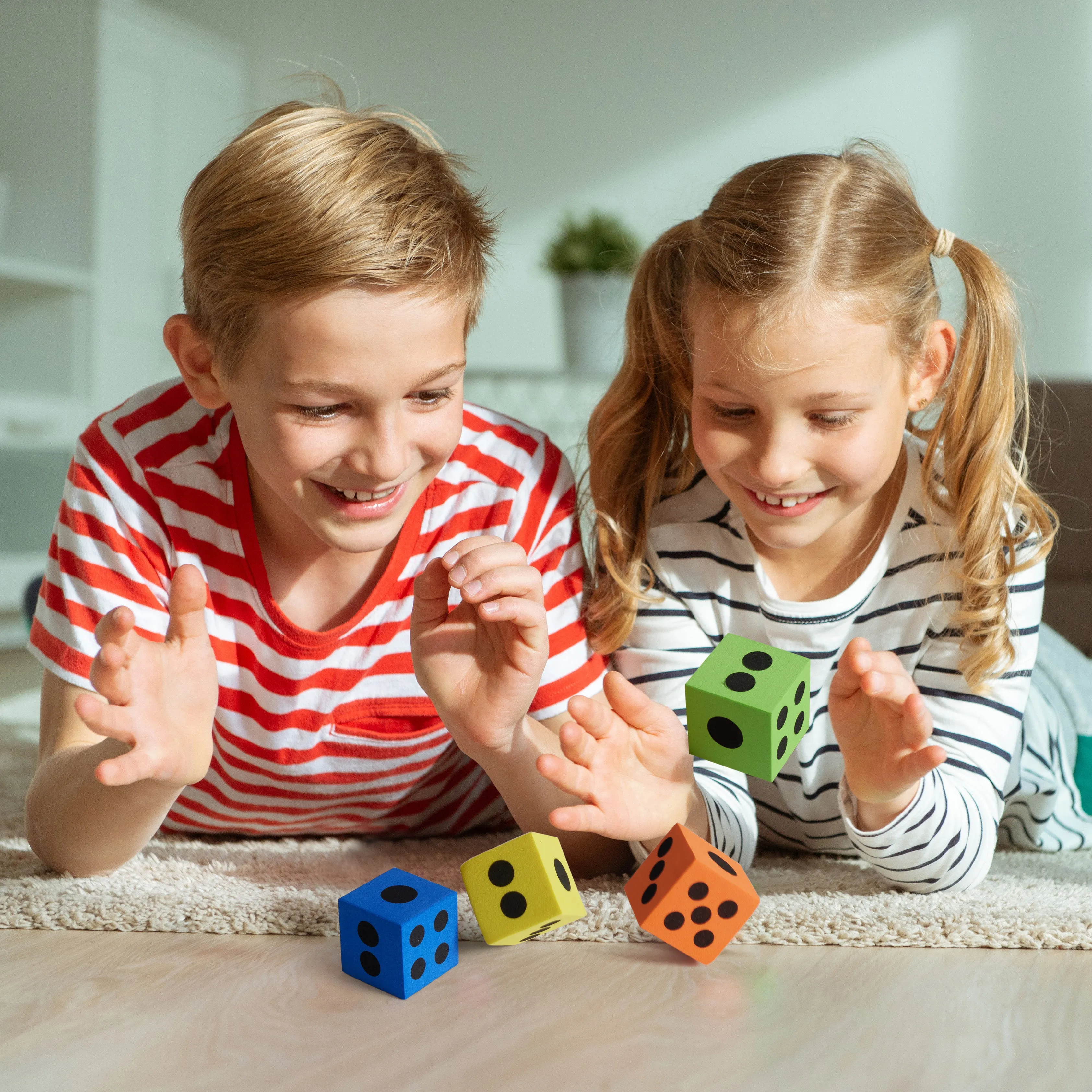 Large Foam Dice