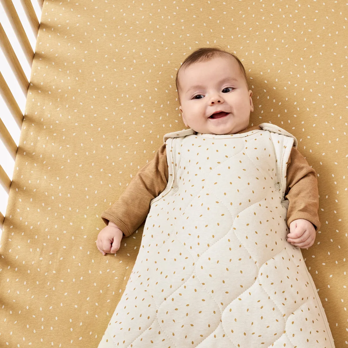Little Green Sheep Organic Baby Sleeping Bag | 2.5 Tog | 0-6 Months - Linen Rice
