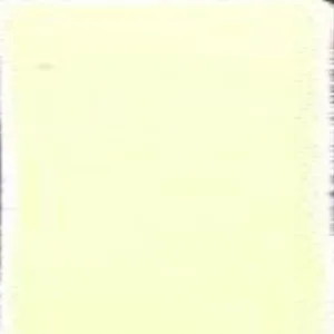 Ninomiya Japanese Lead Based Enamels #L117 Off White
