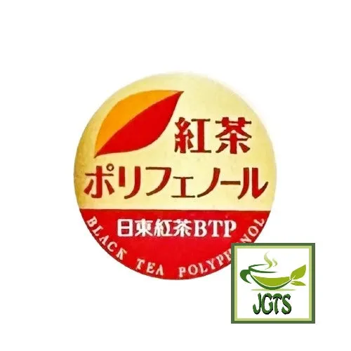 Nittoh Black Tea Ginger Tea Bags