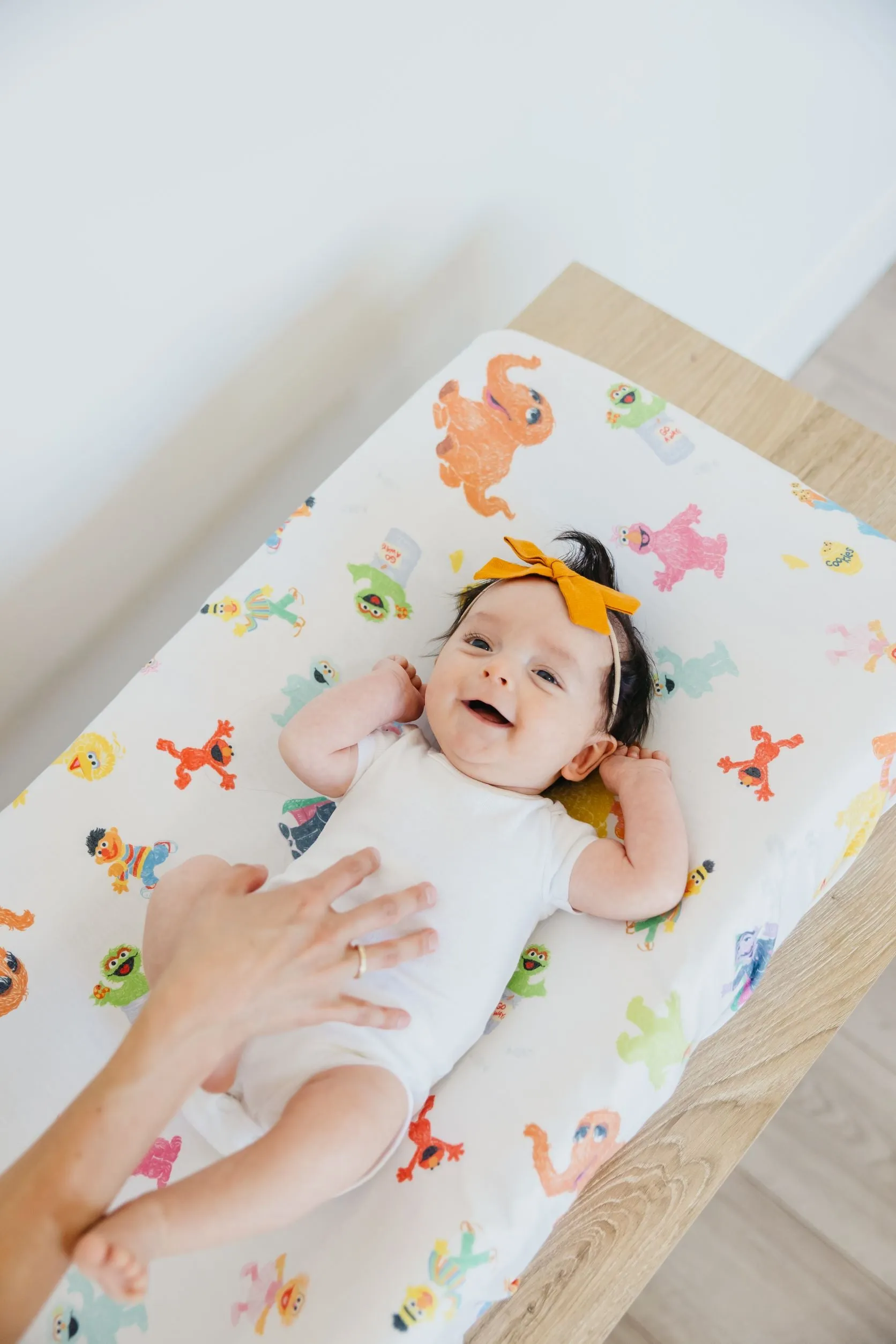 Premium Knit Diaper Changing Pad Cover - Sesame Friends