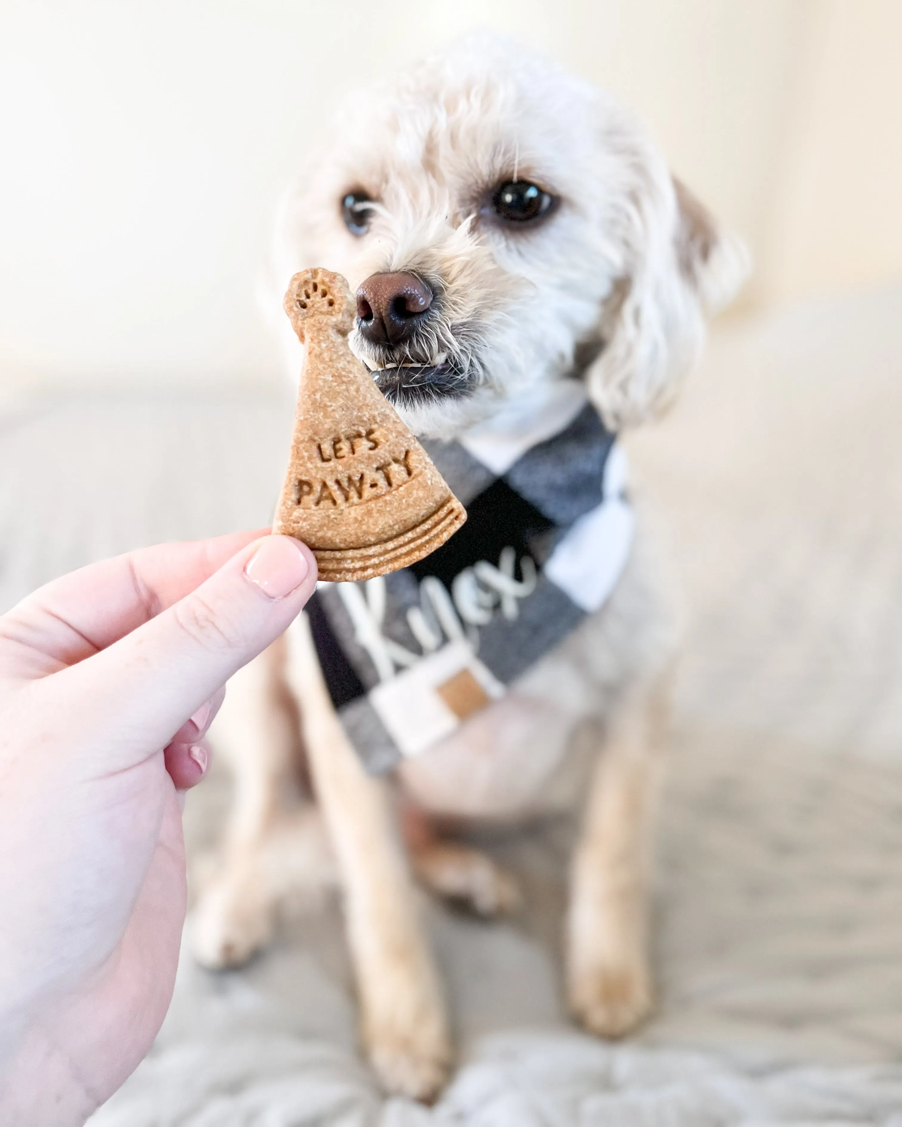"Let's Paw-ty" Birthday Party Hat Cookie Cutter