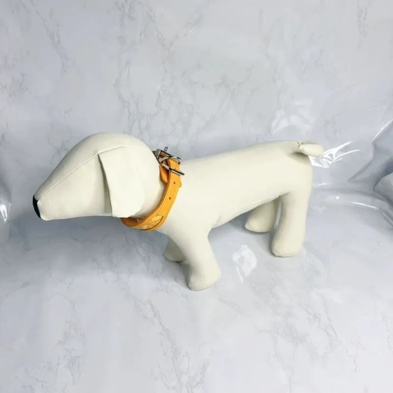Regal Paws Collar