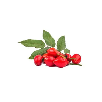 Rosehip Seed Organic Carrier Oil