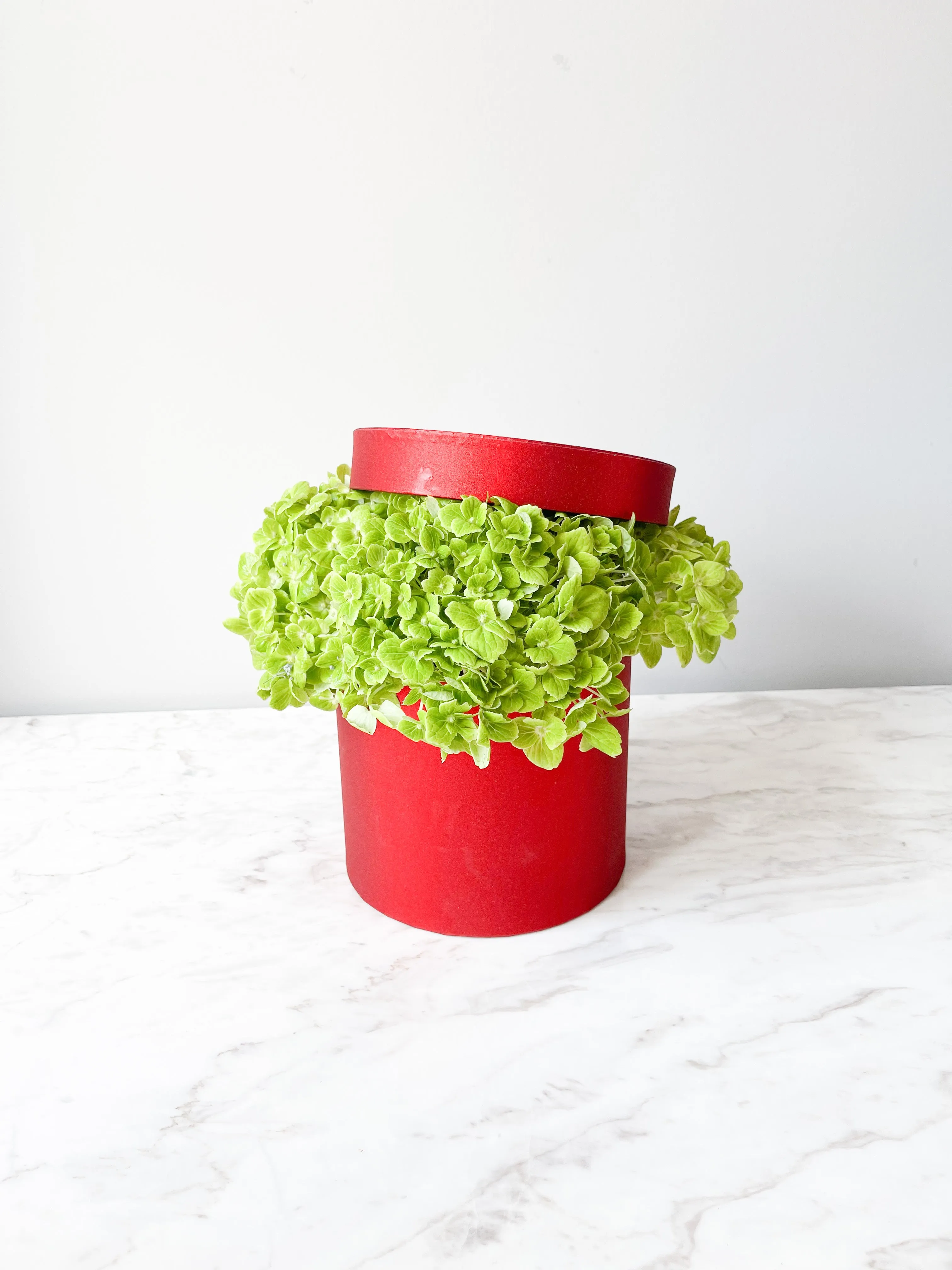 Shinny Planter Flower Box in Different Size & Color