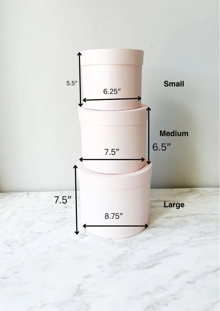 Shinny Planter Flower Box in Different Size & Color