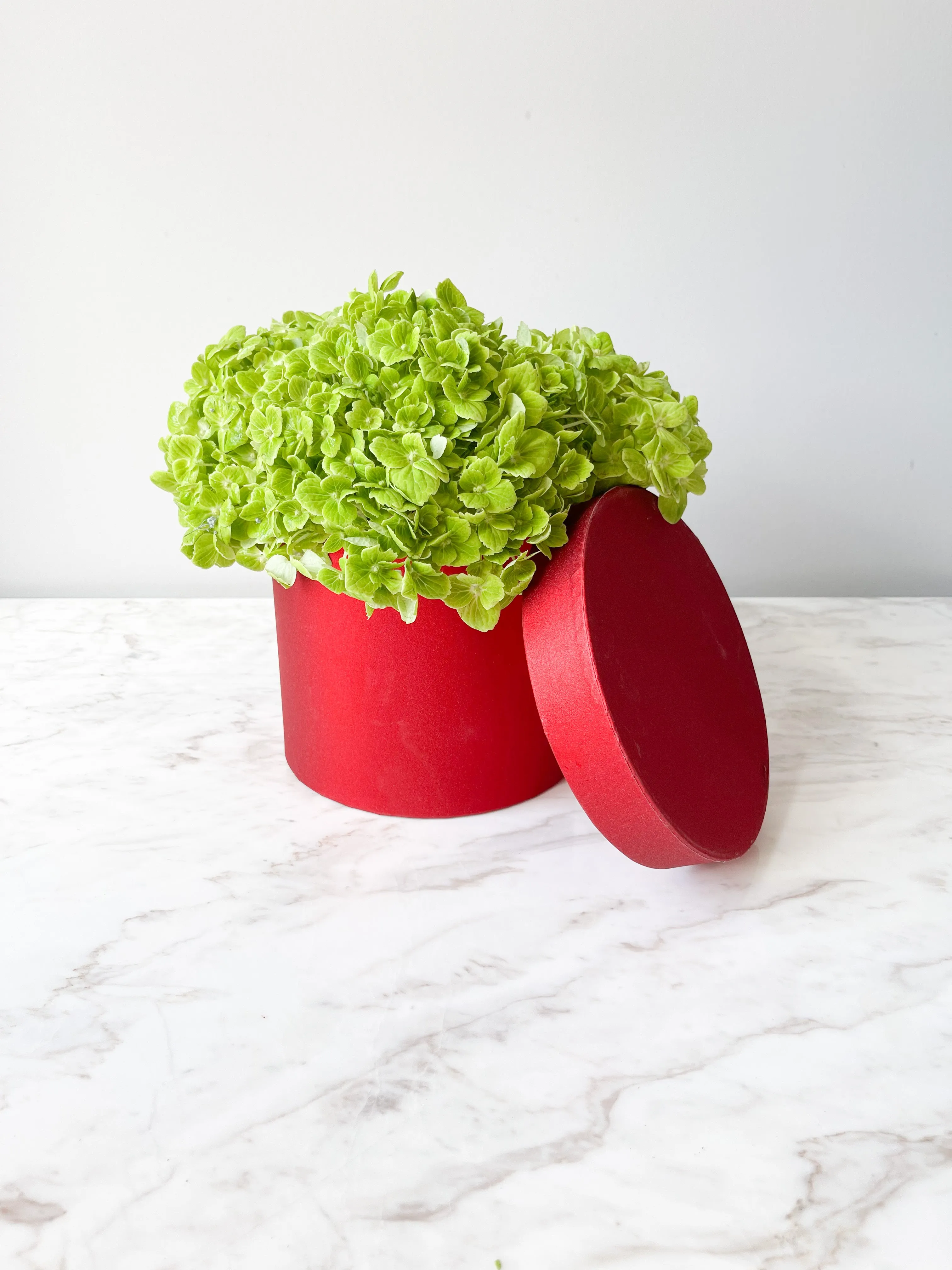 Shinny Planter Flower Box in Different Size & Color