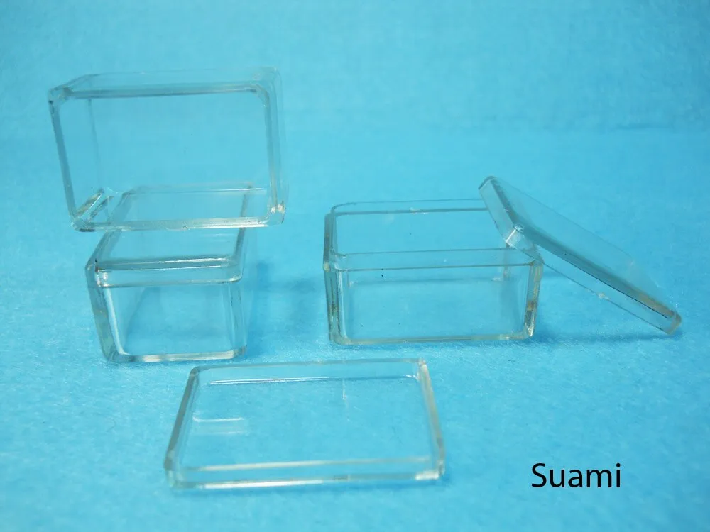 Small Clear Plastic Boxes - Display Boxes, Clear Display Cases,Transparent plastic box, Eco system terrarium boxes - Set of 12 PCS