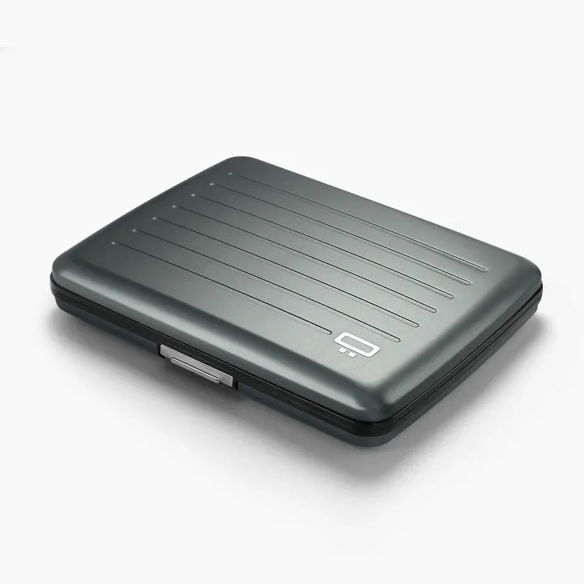 Smart Case V2 Large - Platinum