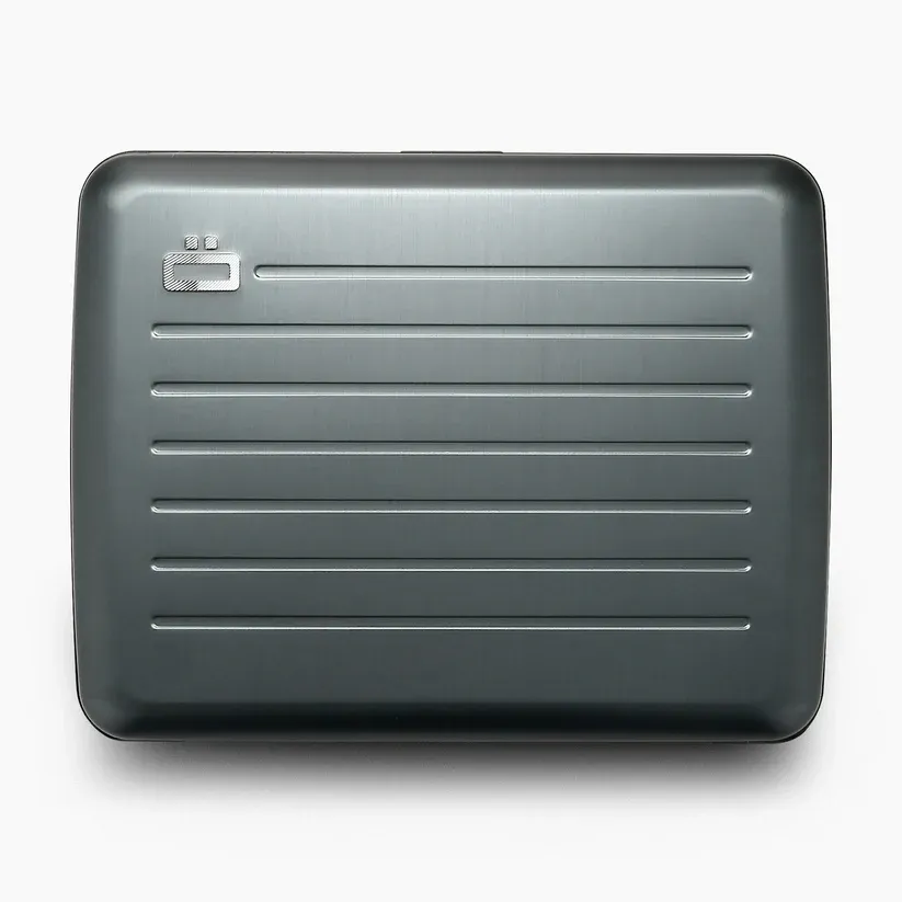 Smart Case V2 Large - Platinum