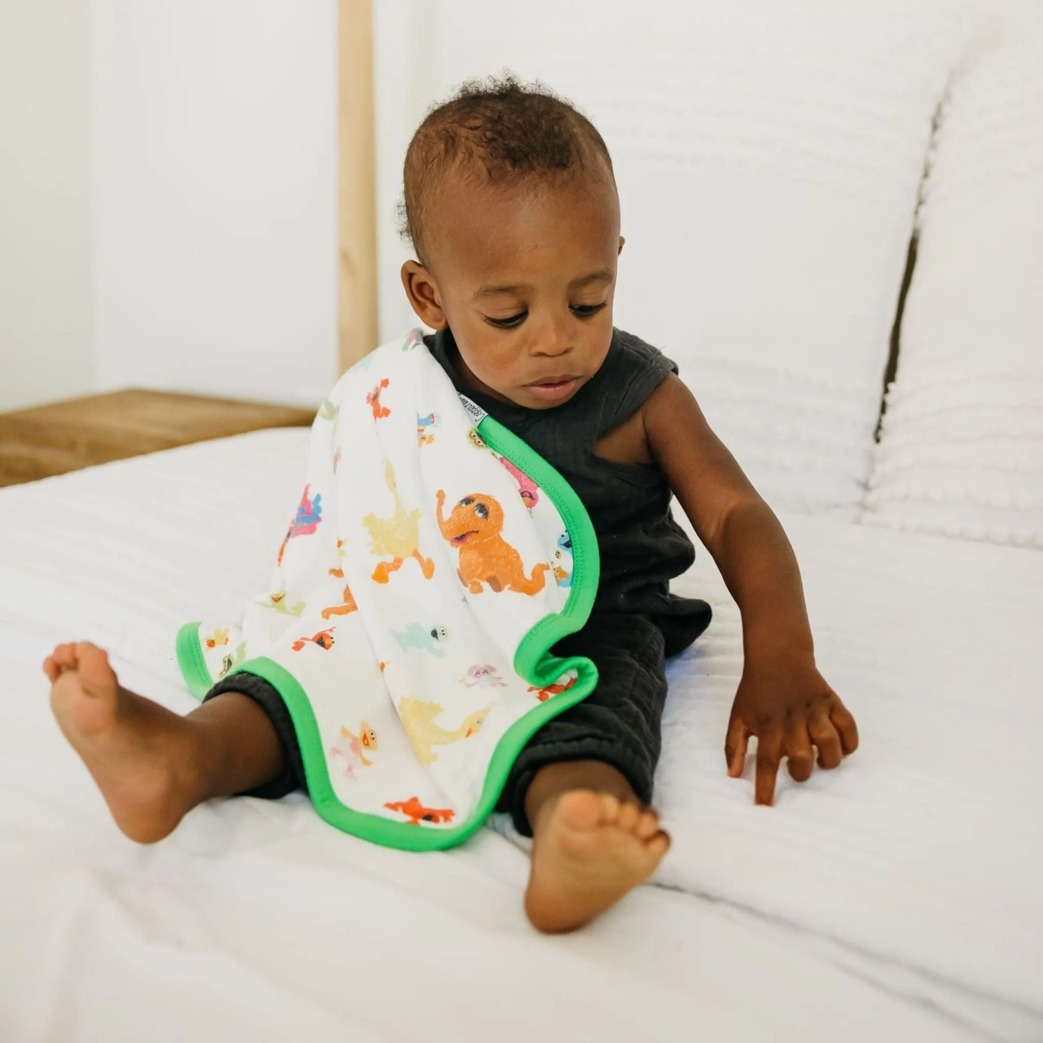 Three-Layer Security Blanket Set - Sesame Friends
