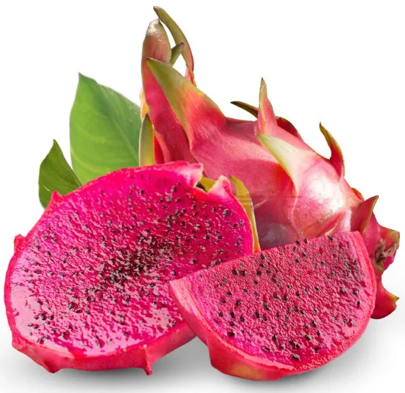 Vulvalicious Aphrodisiac Candy