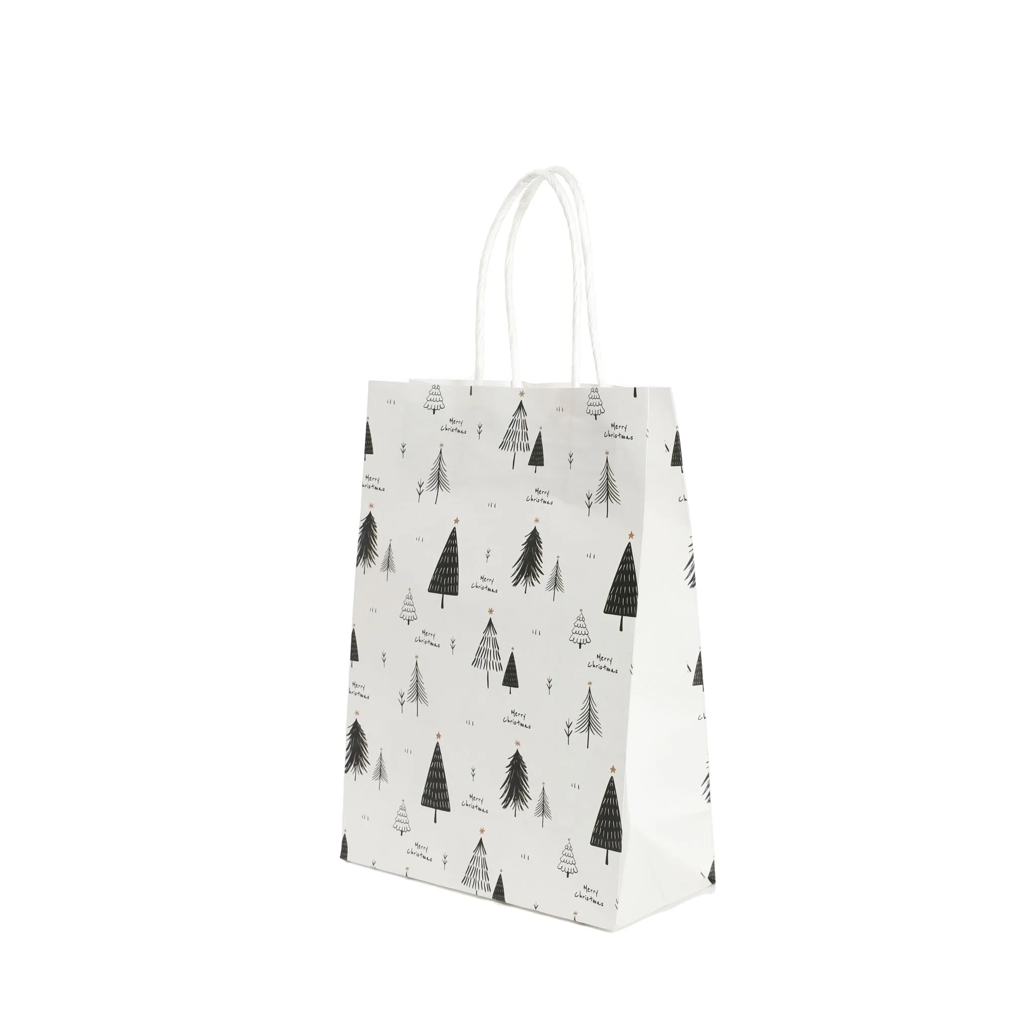 Winter Wonderland Paper Bag with Handles