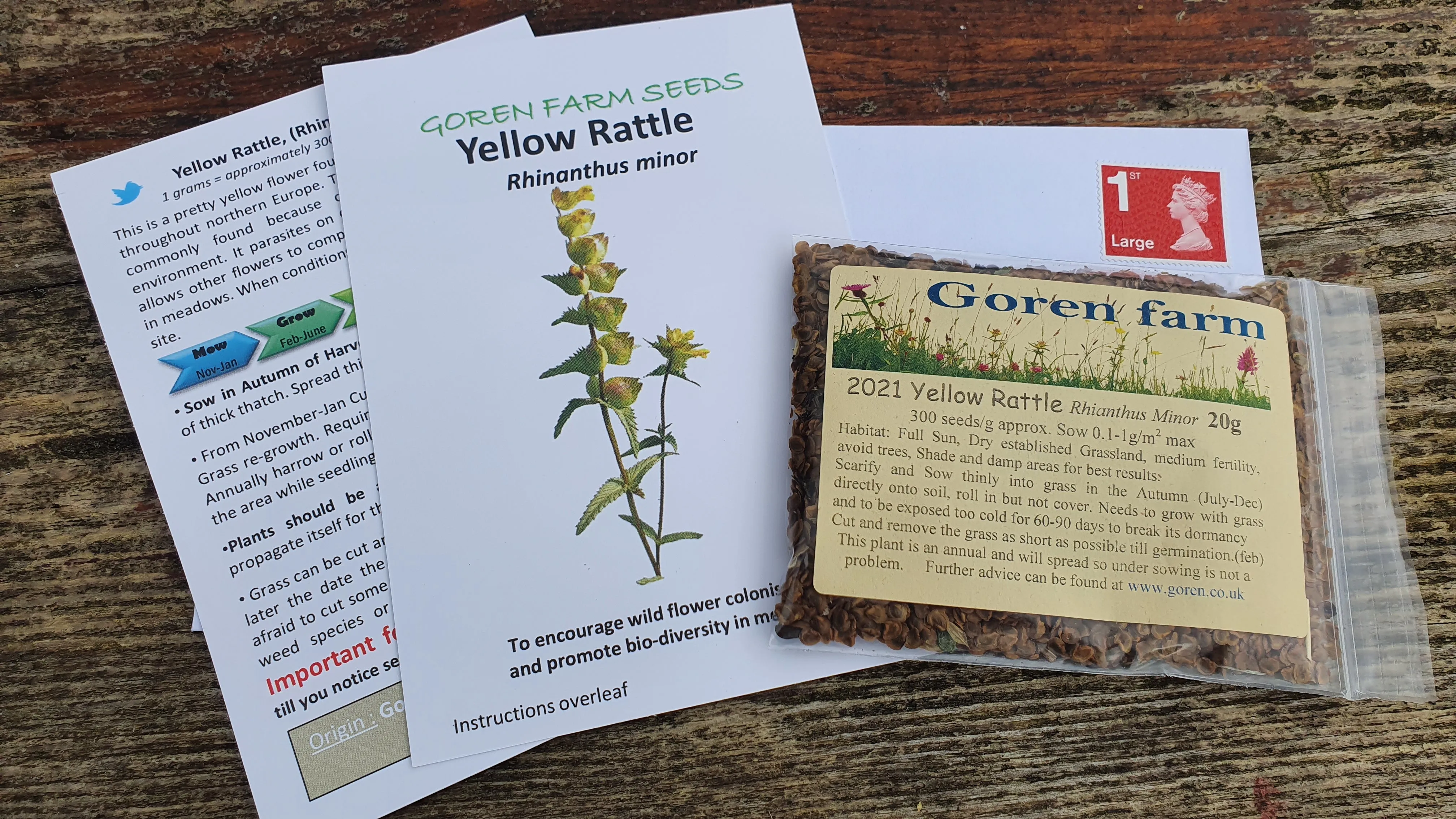 Yellow rattle seed 2024 harvest