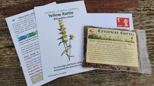 Yellow rattle seed 2024 harvest